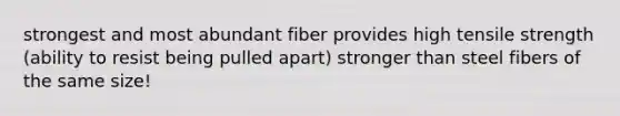 strongest and most abundant fiber provides high tensile strength (ability to resist being pulled apart) stronger than steel fibers of the same size!