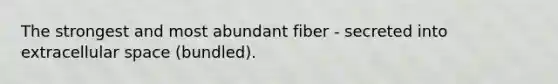 The strongest and most abundant fiber - secreted into extracellular space (bundled).