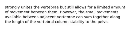 strongly unites the vertebrae but still allows for a limited amount of movement between them. However, the small movements available between adjacent vertebrae can sum together along the length of the vertebral column stability to the pelvis