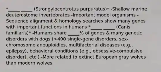 *_____ _____ (Strongylocentrotus purpuratus)* -Shallow marine deuterostome invertebrates -Important model organisms -Sequence alignment & homology searches show many genes with important functions in humans *_____ _____ (Canis familiaris)* -Humans share _____% of genes & many genetic disorders with dogs (>400 single-gene disorders, sex-chromosome aneuploidies, multifactorial diseases (e.g., epilepsy), behavioral conditions (e.g., obsessive-compulsive disorder), etc.) -More related to extinct European gray wolves than modern wolves