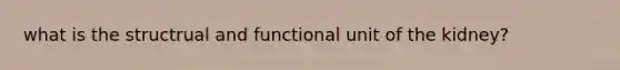 what is the structrual and functional unit of the kidney?