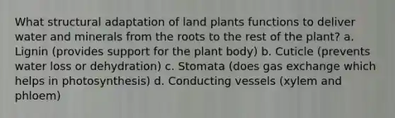 What structural adaptation of land plants functions to deliver water and minerals from the roots to the rest of the plant? a. Lignin (provides support for the <a href='https://www.questionai.com/knowledge/kv6O590eut-plant-body' class='anchor-knowledge'>plant body</a>) b. Cuticle (prevents water loss or dehydration) c. Stomata (does <a href='https://www.questionai.com/knowledge/kU8LNOksTA-gas-exchange' class='anchor-knowledge'>gas exchange</a> which helps in photosynthesis) d. Conducting vessels (xylem and phloem)