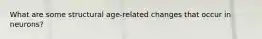 What are some structural age-related changes that occur in neurons?