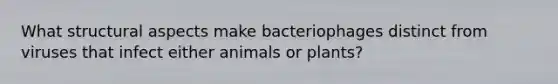 What structural aspects make bacteriophages distinct from viruses that infect either animals or plants?