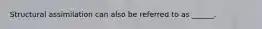 Structural assimilation can also be referred to as ______.