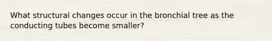 What structural changes occur in the bronchial tree as the conducting tubes become smaller?