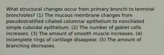 What structural changes occur from primary bronchi to terminal bronchioles? (1) The mucous membrane changes from pseudostratified ciliated columnar epithelium to nonciliated simple cuboidal epithelium. (2) The number of goblet cells increases. (3) The amount of smooth muscle increases. (4) Incomplete rings of cartilage disappear. (5) The amount of branching decreases.