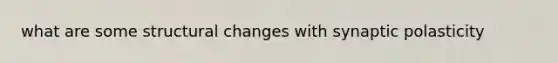 what are some structural changes with synaptic polasticity