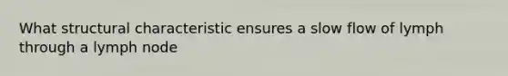What structural characteristic ensures a slow flow of lymph through a lymph node