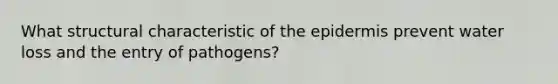 What structural characteristic of the epidermis prevent water loss and the entry of pathogens?