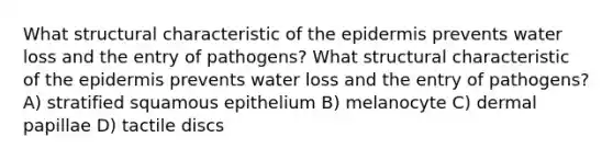 What structural characteristic of the epidermis prevents water loss and the entry of pathogens? What structural characteristic of the epidermis prevents water loss and the entry of pathogens? A) stratified squamous epithelium B) melanocyte C) dermal papillae D) tactile discs