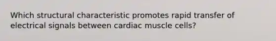 Which structural characteristic promotes rapid transfer of electrical signals between cardiac muscle cells?