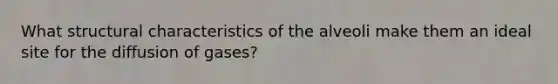 What structural characteristics of the alveoli make them an ideal site for the diffusion of gases?