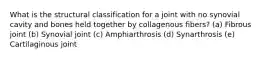 What is the structural classification for a joint with no synovial cavity and bones held together by collagenous fibers? (a) Fibrous joint (b) Synovial joint (c) Amphiarthrosis (d) Synarthrosis (e) Cartilaginous joint