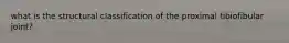 what is the structural classification of the proximal tibiofibular joint?