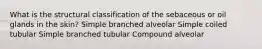 What is the structural classification of the sebaceous or oil glands in the skin? Simple branched alveolar Simple coiled tubular Simple branched tubular Compound alveolar