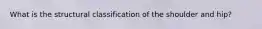 What is the structural classification of the shoulder and hip?