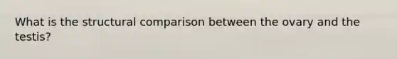 What is the structural comparison between the ovary and the testis?