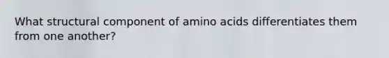 What structural component of amino acids differentiates them from one another?