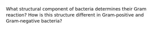 What structural component of bacteria determines their Gram reaction? How is this structure different in Gram-positive and Gram-negative bacteria?