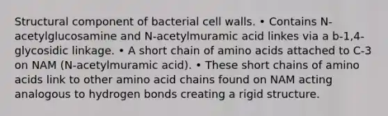 Structural component of bacterial cell walls. • Contains N-acetylglucosamine and N-acetylmuramic acid linkes via a b-1,4-glycosidic linkage. • A short chain of amino acids attached to C-3 on NAM (N-acetylmuramic acid). • These short chains of amino acids link to other amino acid chains found on NAM acting analogous to hydrogen bonds creating a rigid structure.