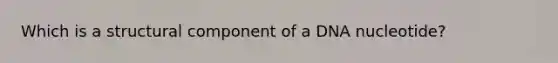 Which is a structural component of a DNA nucleotide?