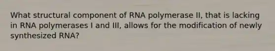 What structural component of RNA polymerase II, that is lacking in RNA polymerases I and III, allows for the modification of newly synthesized RNA?