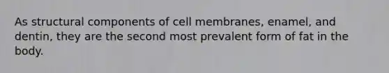 As structural components of cell membranes, enamel, and dentin, they are the second most prevalent form of fat in the body.