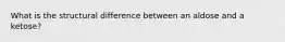 What is the structural difference between an aldose and a ketose?