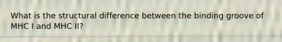 What is the structural difference between the binding groove of MHC I and MHC II?