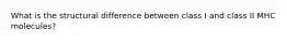 What is the structural difference between class I and class II MHC molecules?