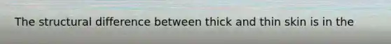 The structural difference between thick and thin skin is in the