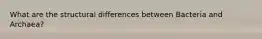 What are the structural differences between Bacteria and Archaea?