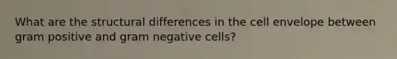 What are the structural differences in the cell envelope between gram positive and gram negative cells?