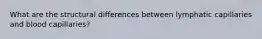What are the structural differences between lymphatic capillaries and blood capillaries?