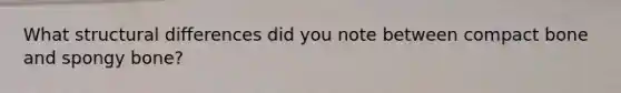 What structural differences did you note between compact bone and spongy bone?