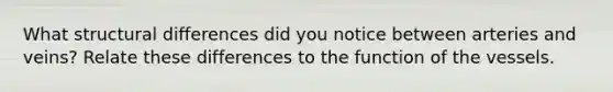 What structural differences did you notice between arteries and veins? Relate these differences to the function of the vessels.