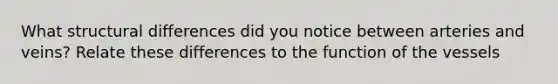 What structural differences did you notice between arteries and veins? Relate these differences to the function of the vessels