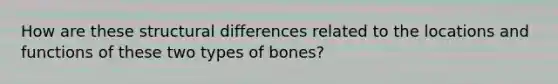 How are these structural differences related to the locations and functions of these two <a href='https://www.questionai.com/knowledge/kfC6xyWVHQ-types-of-bones' class='anchor-knowledge'>types of bones</a>?