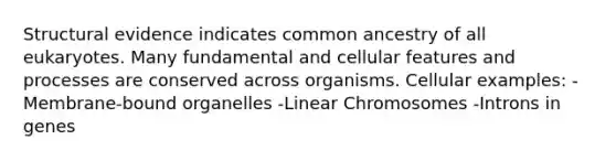 Structural evidence indicates common ancestry of all eukaryotes. Many fundamental and cellular features and processes are conserved across organisms. Cellular examples: -Membrane-bound organelles -Linear Chromosomes -Introns in genes