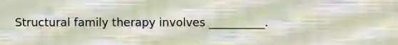 Structural family therapy involves __________.