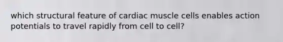 which structural feature of cardiac muscle cells enables action potentials to travel rapidly from cell to cell?