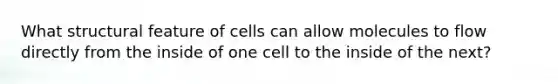 What structural feature of cells can allow molecules to flow directly from the inside of one cell to the inside of the next?