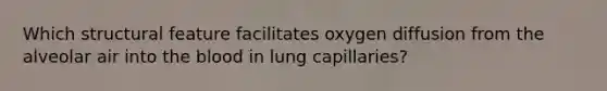 Which structural feature facilitates oxygen diffusion from the alveolar air into the blood in lung capillaries?