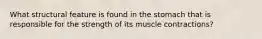 What structural feature is found in the stomach that is responsible for the strength of its muscle contractions?