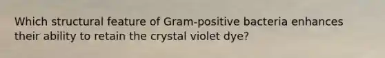 Which structural feature of Gram-positive bacteria enhances their ability to retain the crystal violet dye?