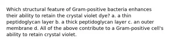 Which structural feature of Gram-positive bacteria enhances their ability to retain the crystal violet dye? a. a thin peptidoglycan layer b. a thick peptidoglycan layer c. an outer membrane d. All of the above contribute to a Gram-positive cell's ability to retain crystal violet.