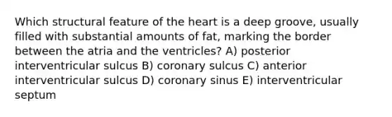 Which structural feature of the heart is a deep groove, usually filled with substantial amounts of fat, marking the border between the atria and the ventricles? A) posterior interventricular sulcus B) coronary sulcus C) anterior interventricular sulcus D) coronary sinus E) interventricular septum