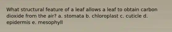 What structural feature of a leaf allows a leaf to obtain carbon dioxide from the air? a. stomata b. chloroplast c. cuticle d. epidermis e. mesophyll