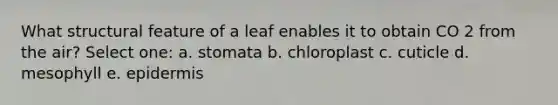 What structural feature of a leaf enables it to obtain CO 2 from the air? Select one: a. stomata b. chloroplast c. cuticle d. mesophyll e. epidermis